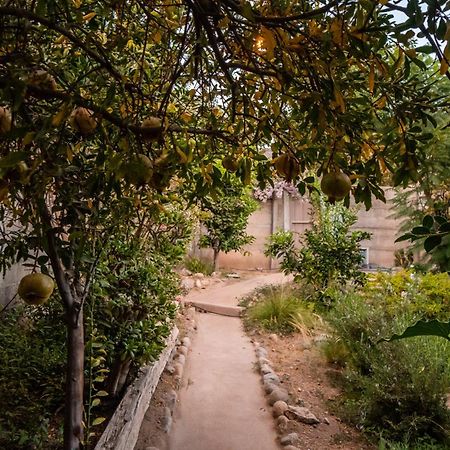 Casa Doris Βίλα Vicuña Εξωτερικό φωτογραφία