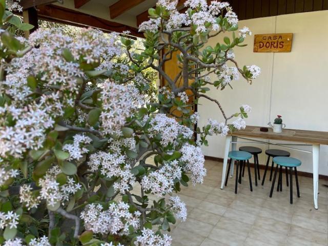 Casa Doris Βίλα Vicuña Εξωτερικό φωτογραφία