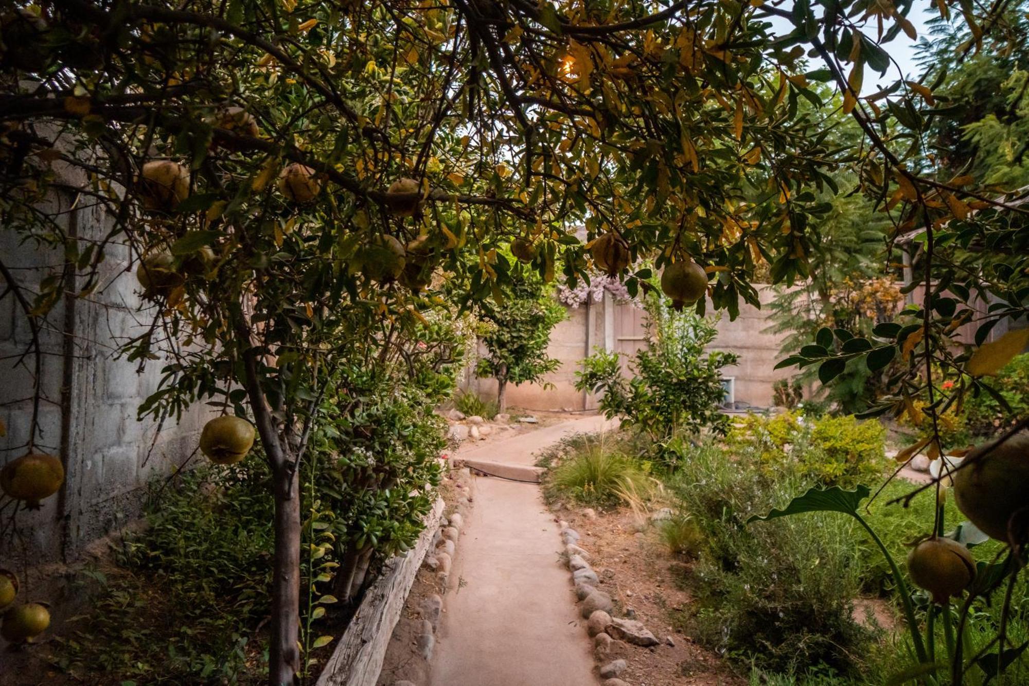 Casa Doris Βίλα Vicuña Εξωτερικό φωτογραφία